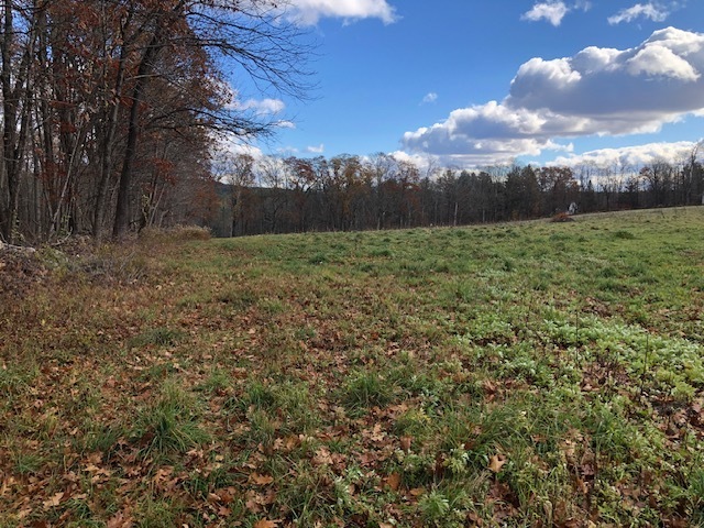 11 Shantry Road Colebrook CT 06021