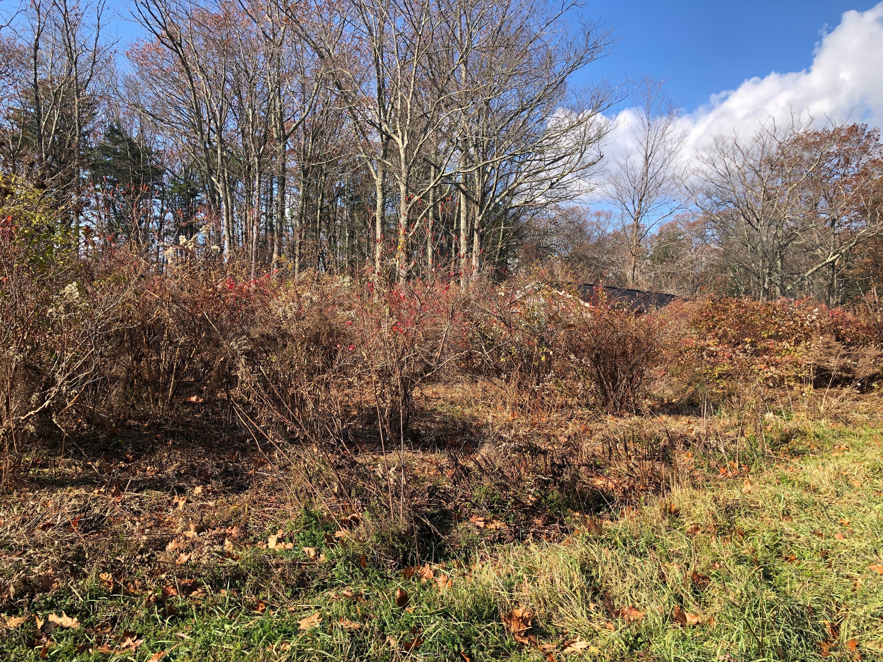 11 Shantry Road Colebrook CT 06021