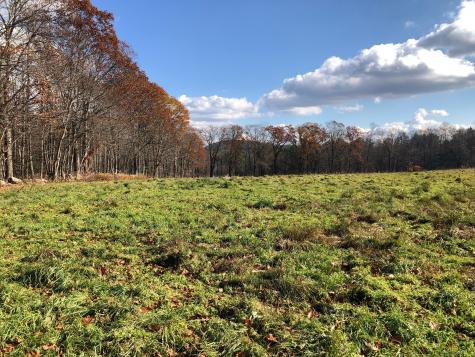 11 Shantry Road Colebrook CT 06021