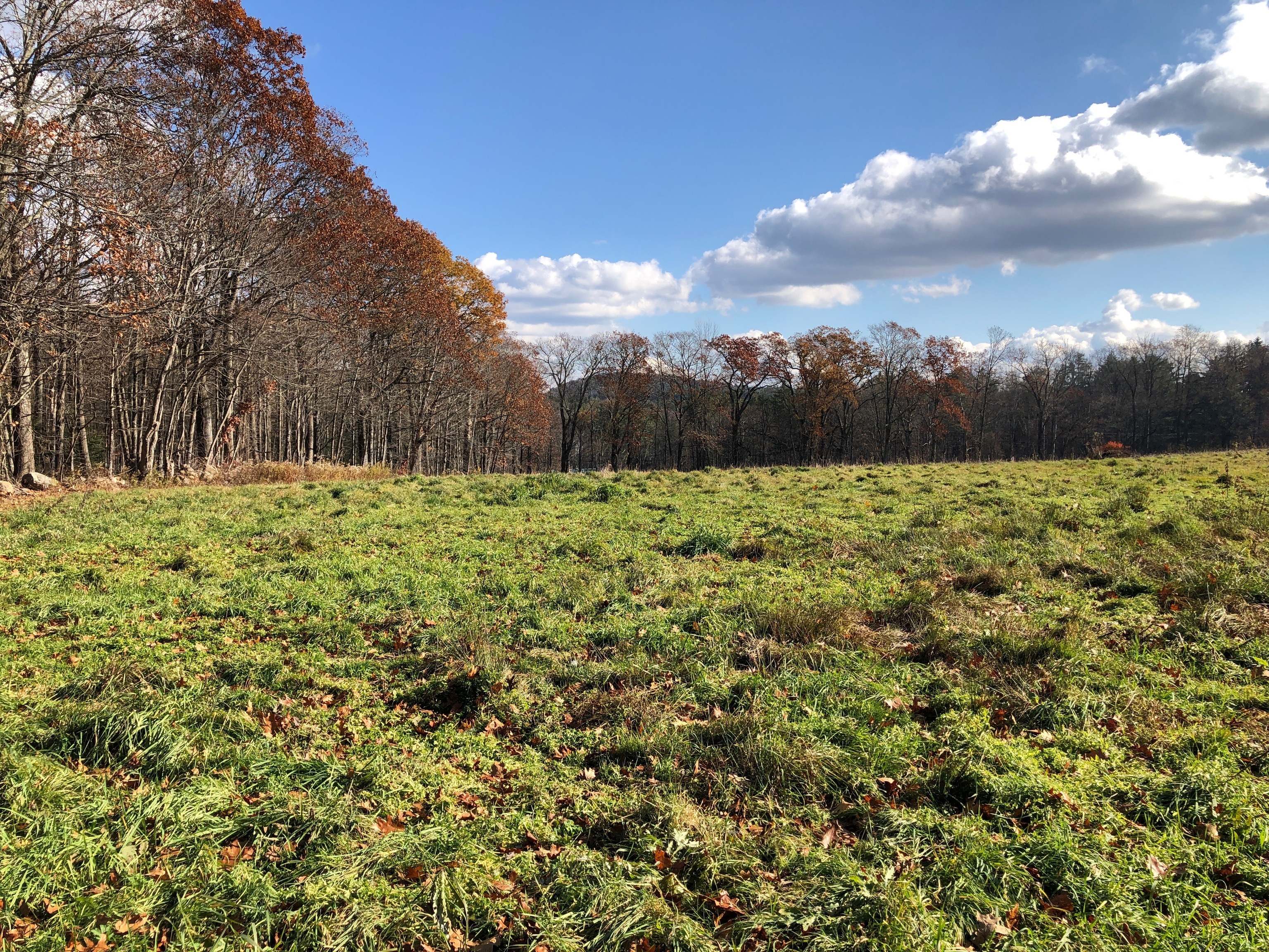 11 Shantry Road Colebrook CT 06021