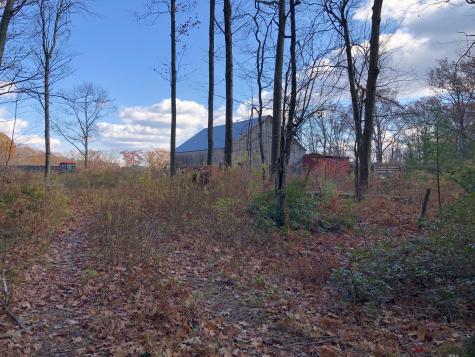 11 Shantry Road Colebrook CT 06021