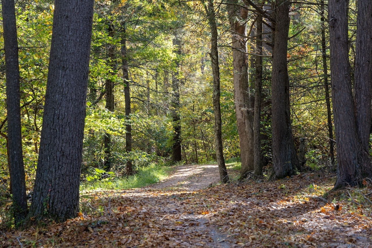 175 Dibble Hill Road Cornwall CT 06796