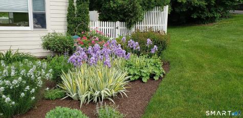 81 Grove Street Southington CT 06479