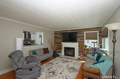 37 Frederick Street New Haven CT 06515