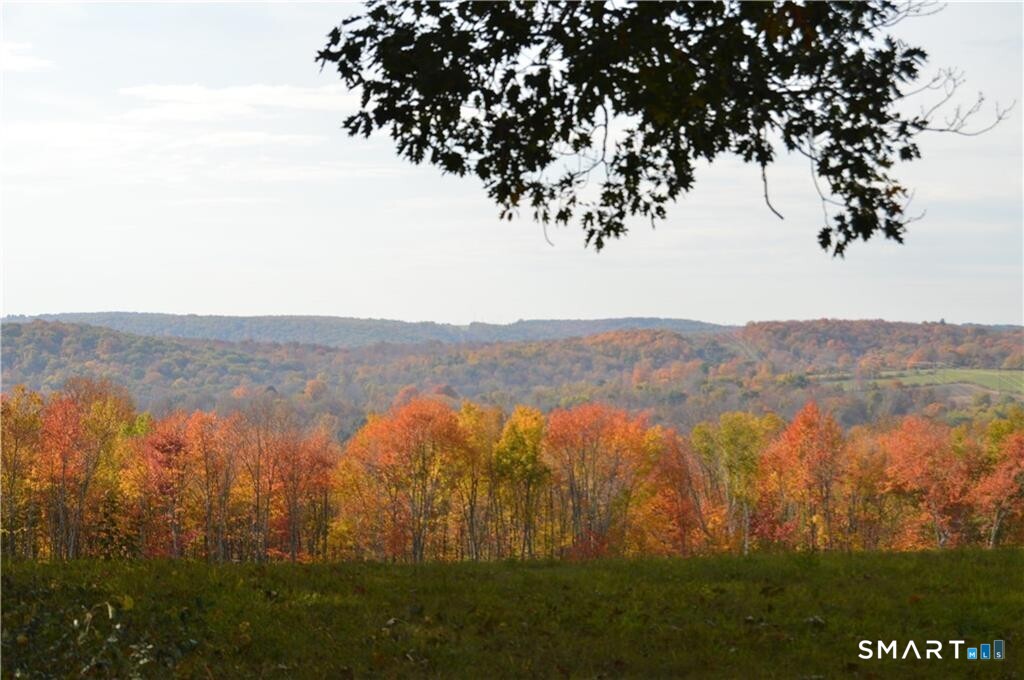 92 Quail Run Road Woodbury CT 06798