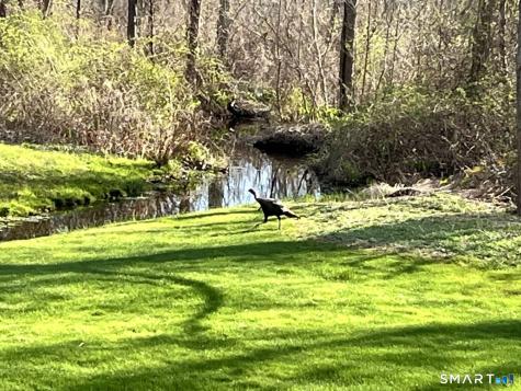 5 Westmont Road Wethersfield CT 06109