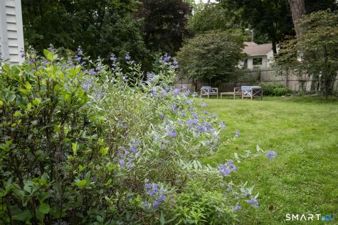 5 Cornwall Court Norwalk CT 06850