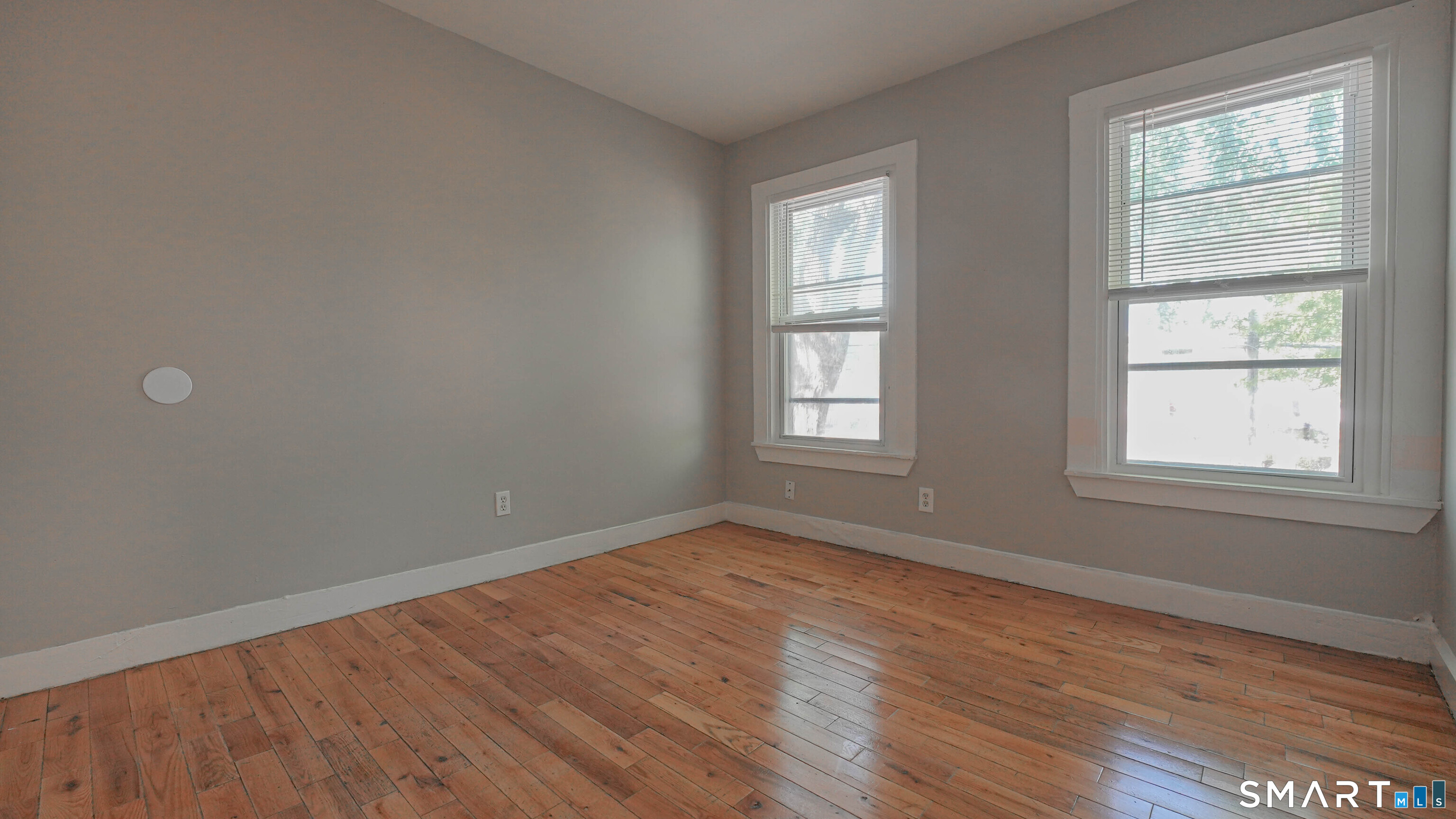 17 Shelton Avenue New Haven CT 06511