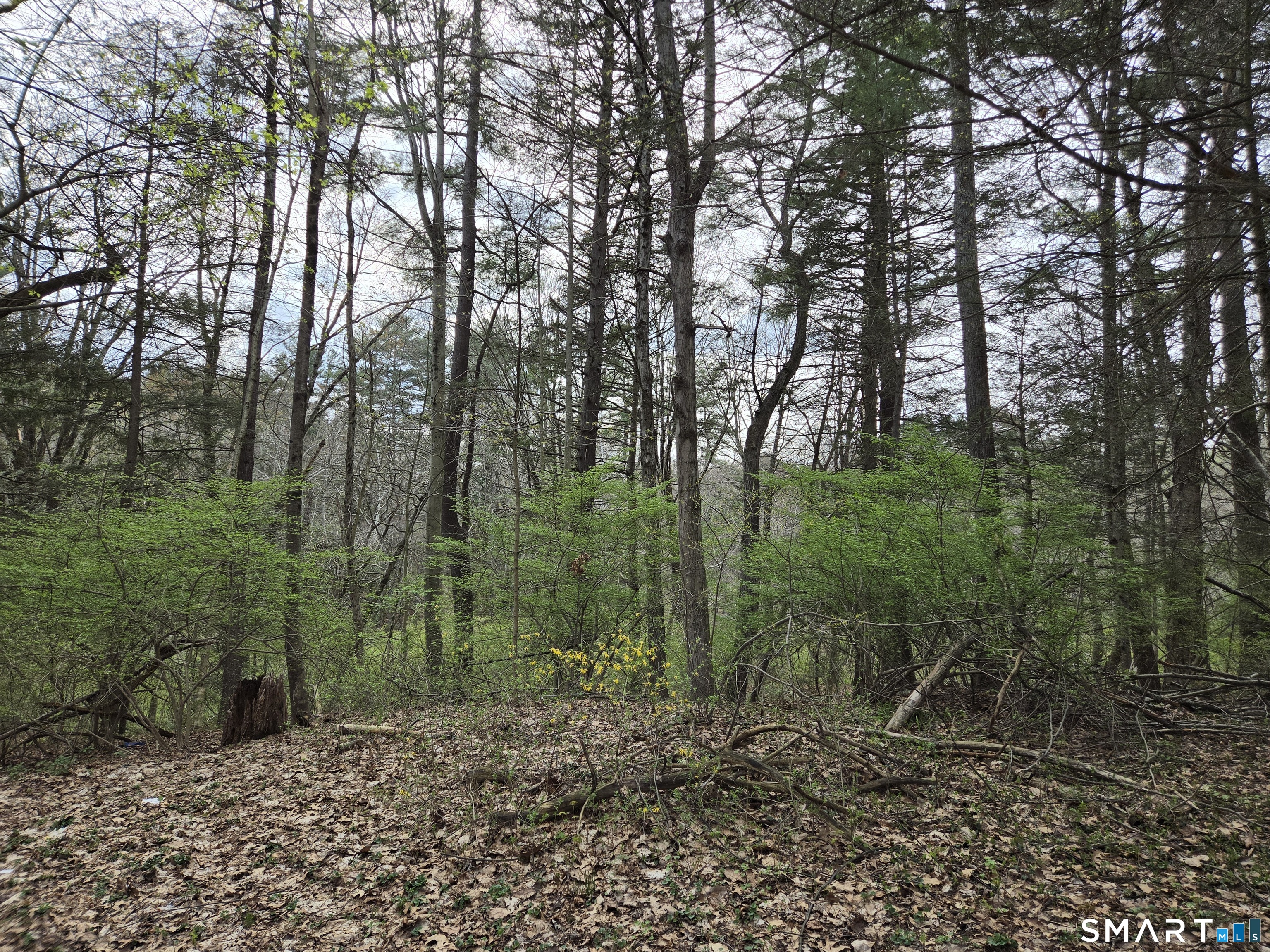 23 Gordon Lane Enfield CT 06082