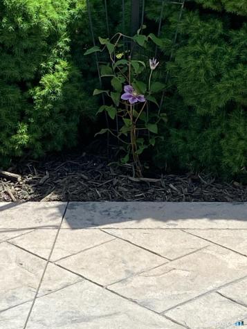 26 Beechwood Drive Waterford CT 06385