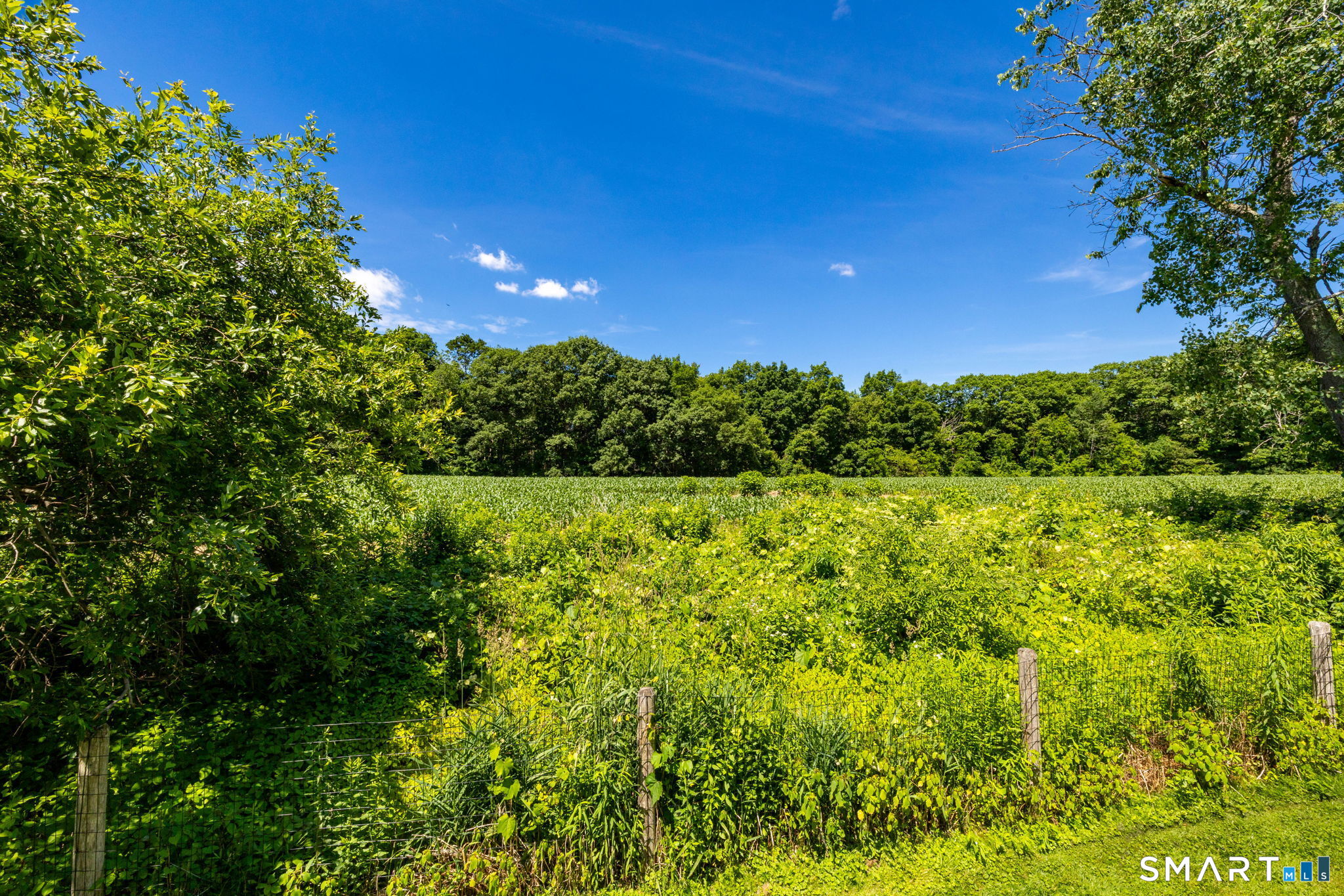 255 Norfolk Road Litchfield CT 06759