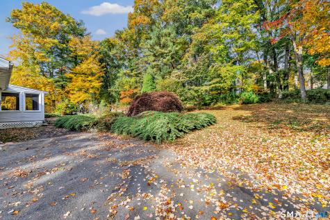 29 Brownson Drive Shelton CT 06484