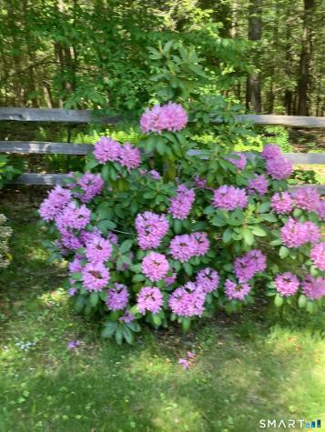 74 Taft Pond Road Pomfret CT 06259