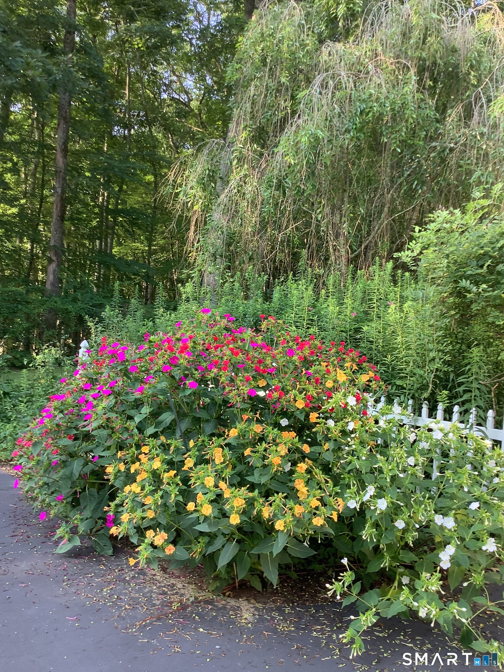 74 Taft Pond Road Pomfret CT 06259