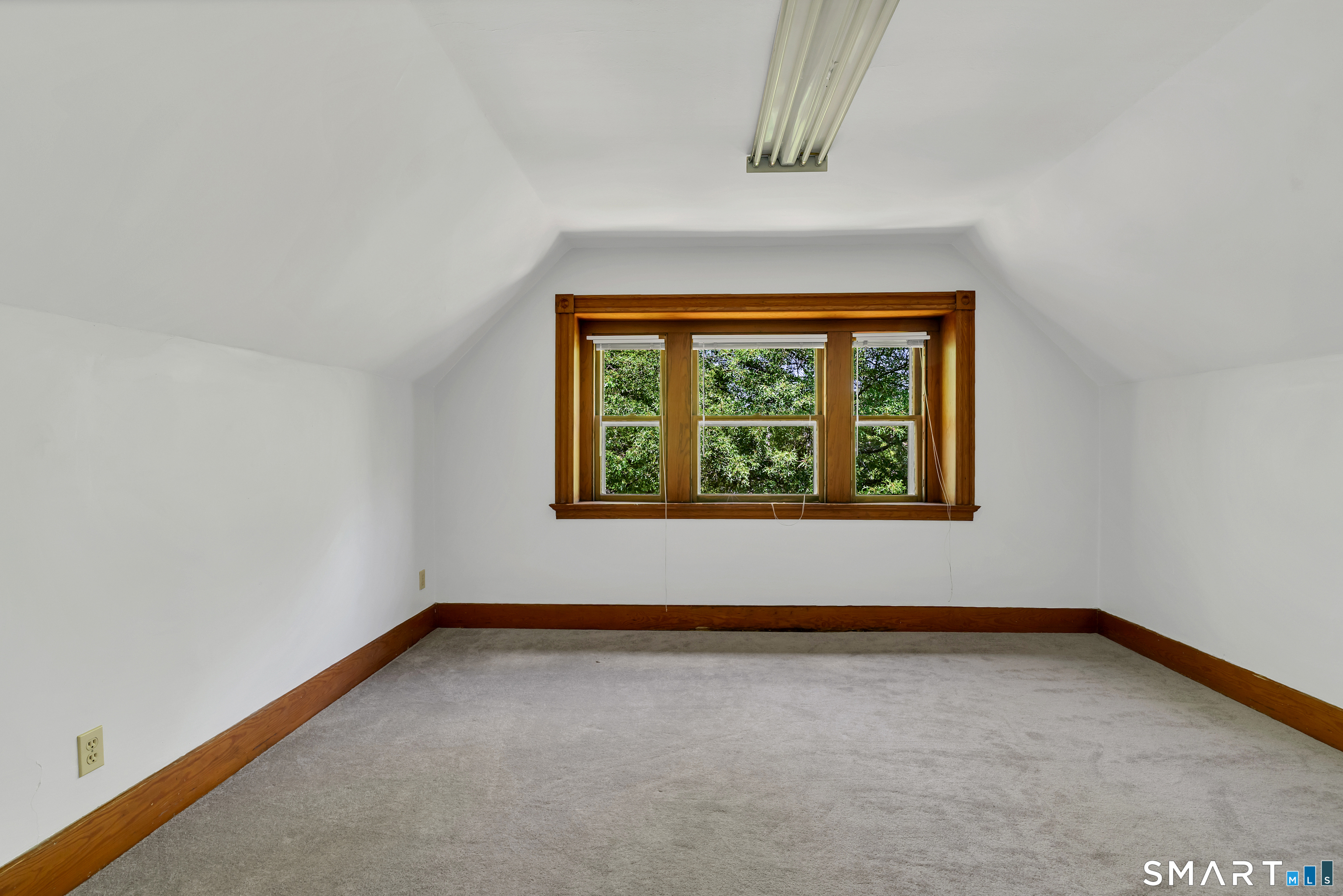 196 Canner Street New Haven CT 06511