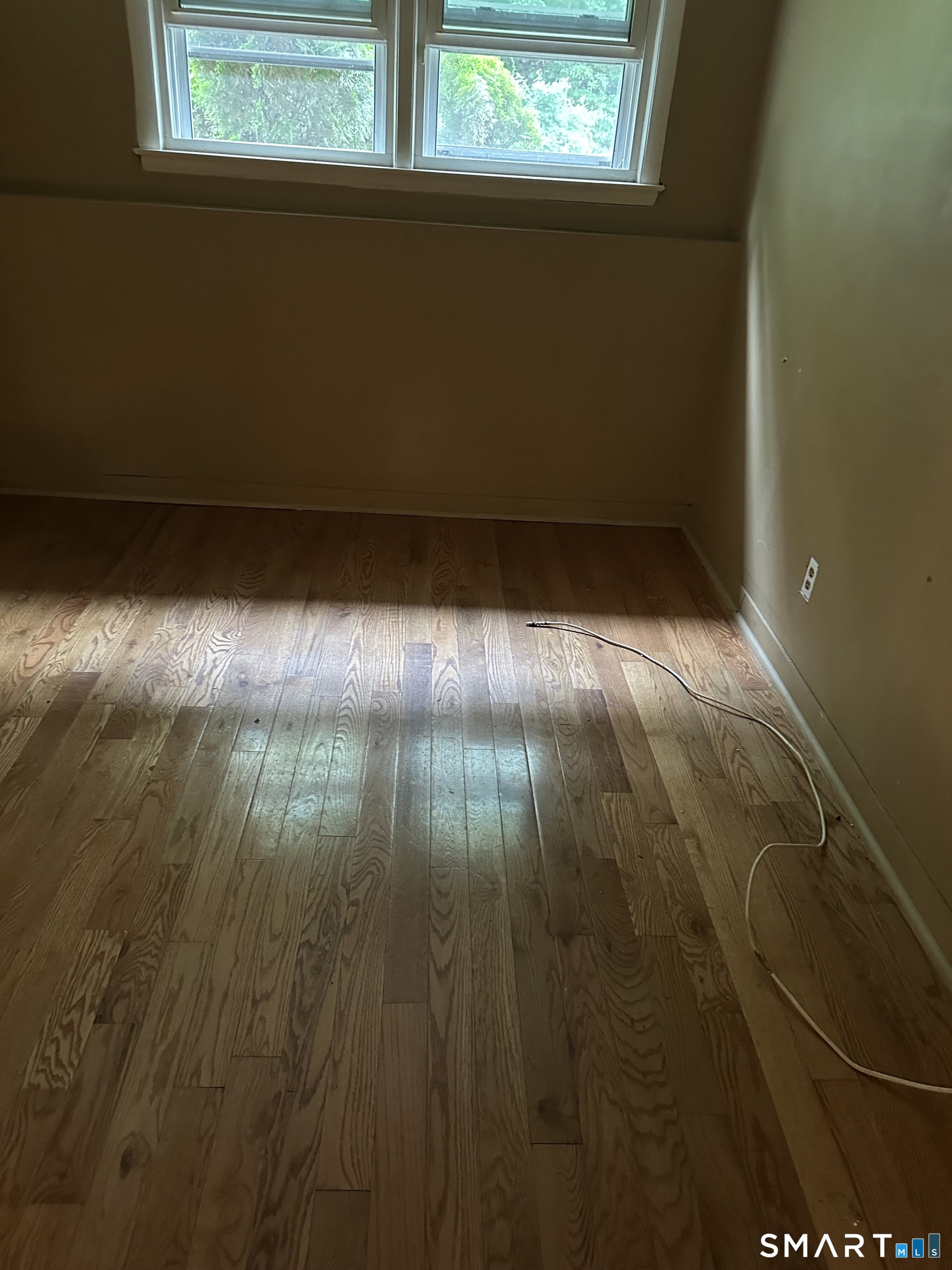 New Haven CT 06511