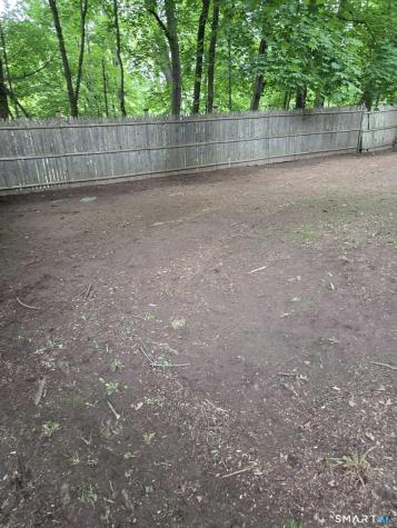 New Haven CT 06511