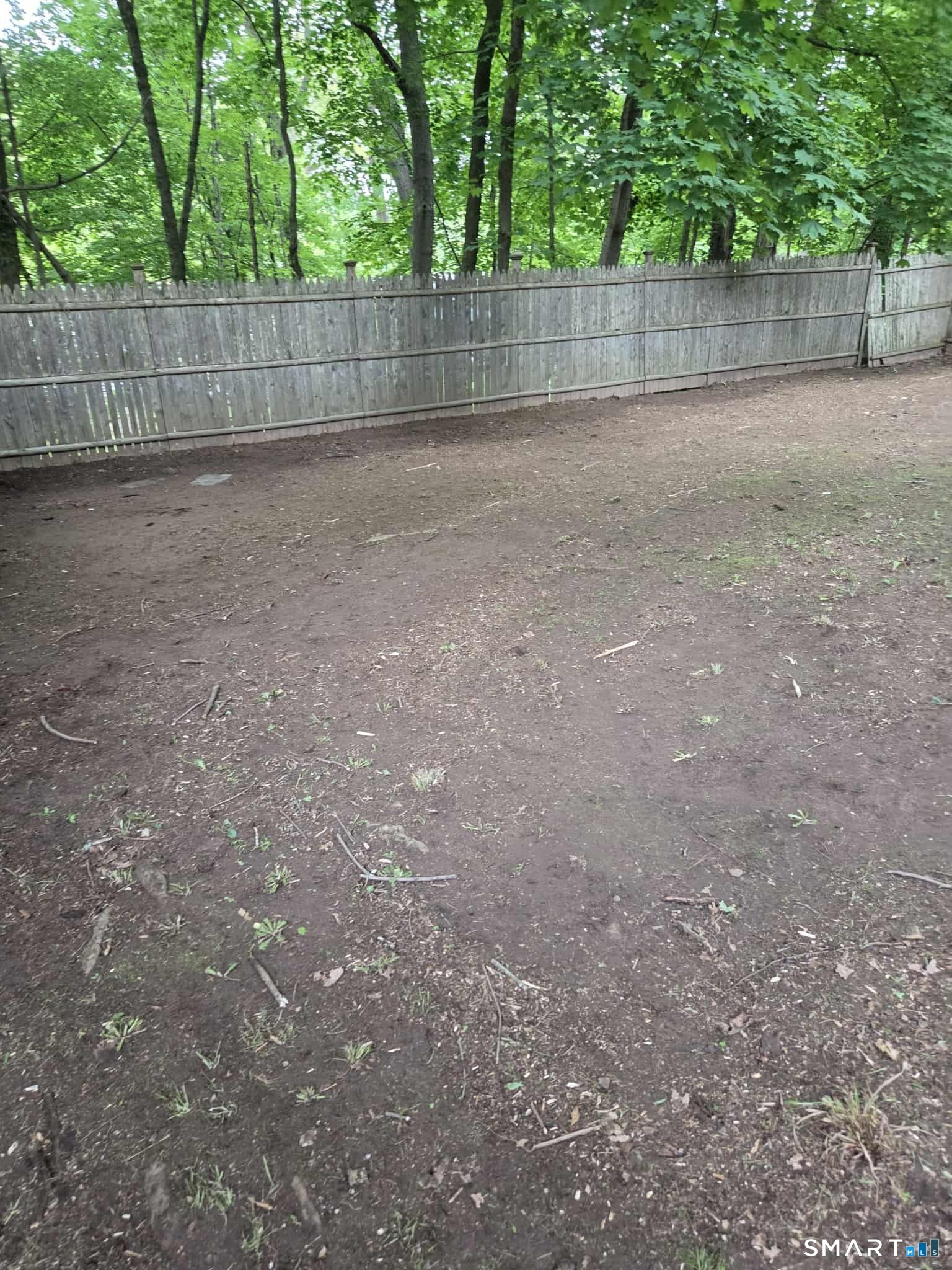 New Haven CT 06511