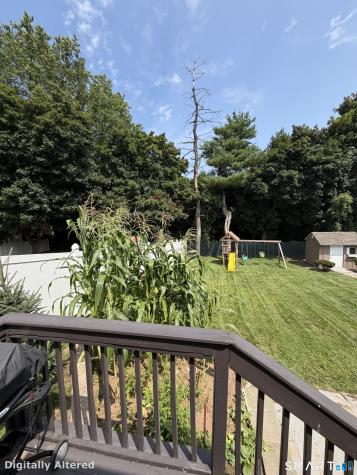 154 Overbrook Road West Hartford CT 06107