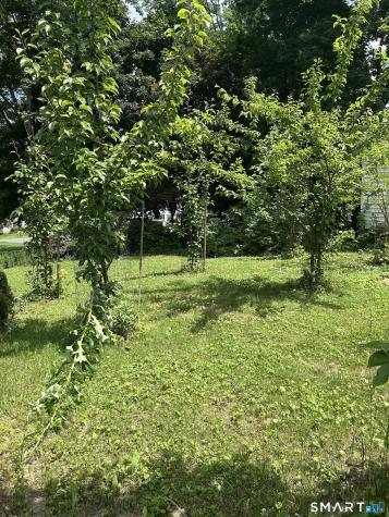 327 North Hoadley Street Naugatuck CT 06770