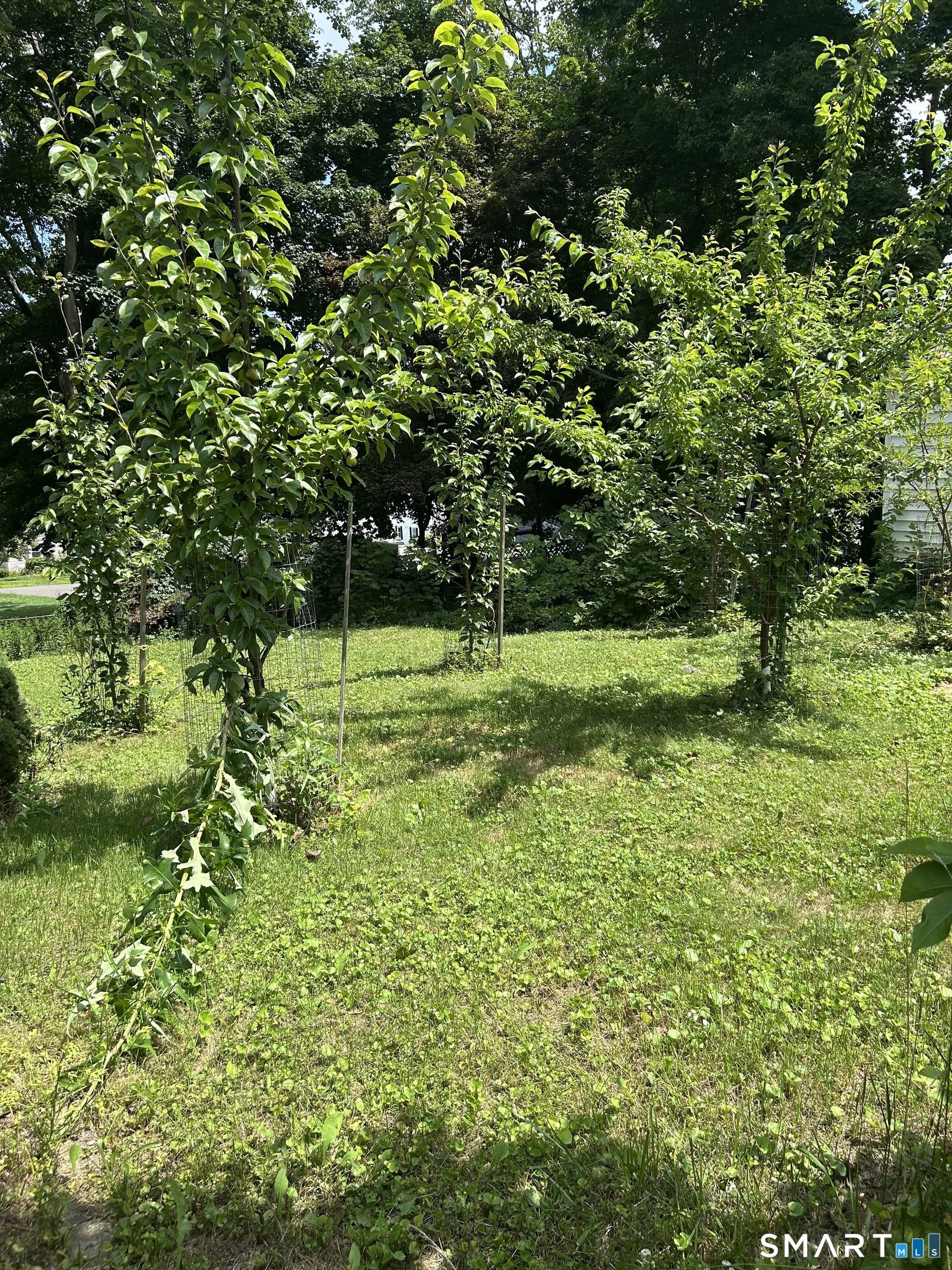 327 North Hoadley Street Naugatuck CT 06770