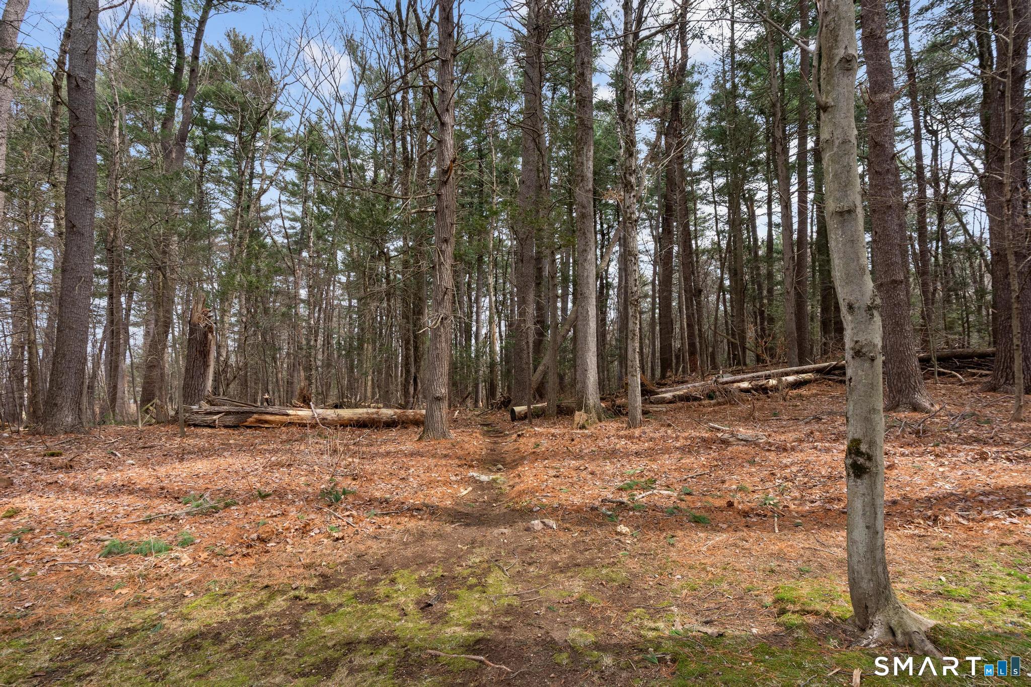 513 Plainville Avenue Farmington CT 06085