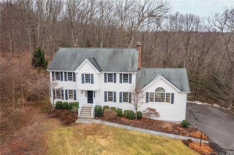 10 Mountain Manor Road Newtown CT 06482