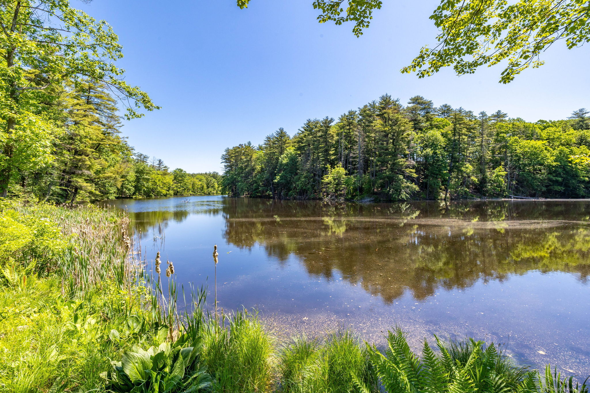 2 Highland Square Avon CT 06001