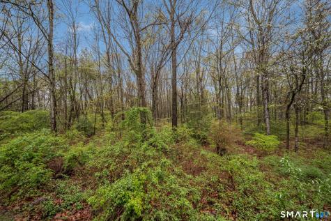 526 Horse Pond Road Madison CT 06443