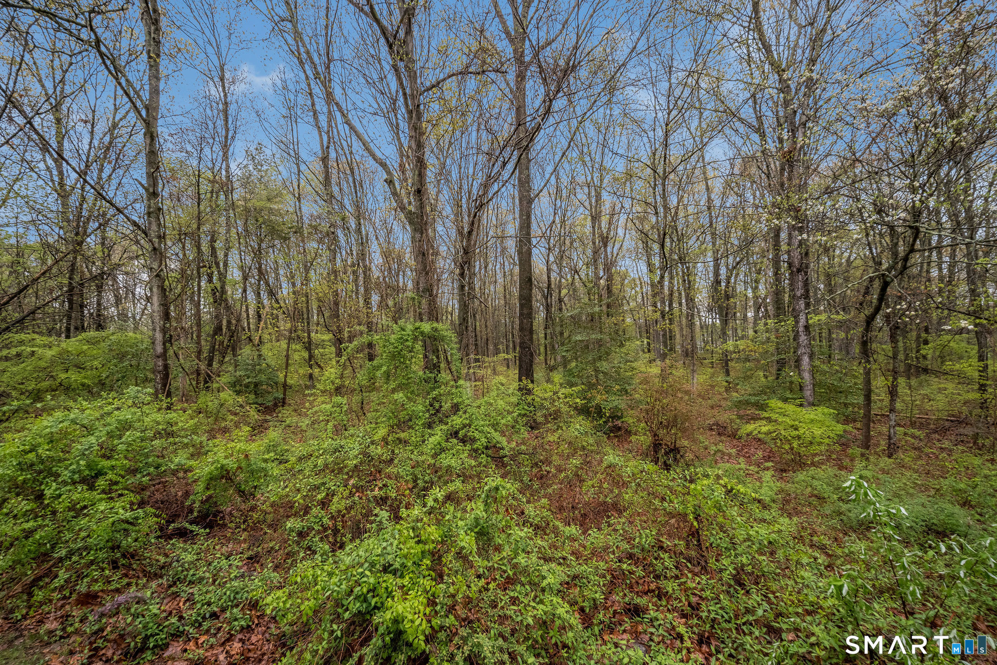 526 Horse Pond Road Madison CT 06443