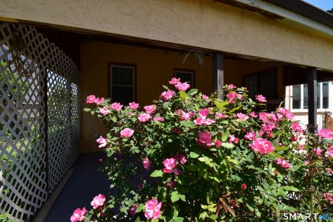 292 Naugatuck Avenue Milford CT 06460