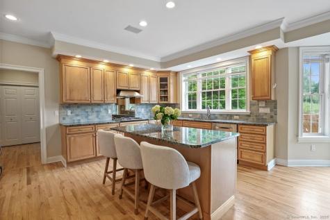 18 Beaver Dam Road Newtown CT 06470
