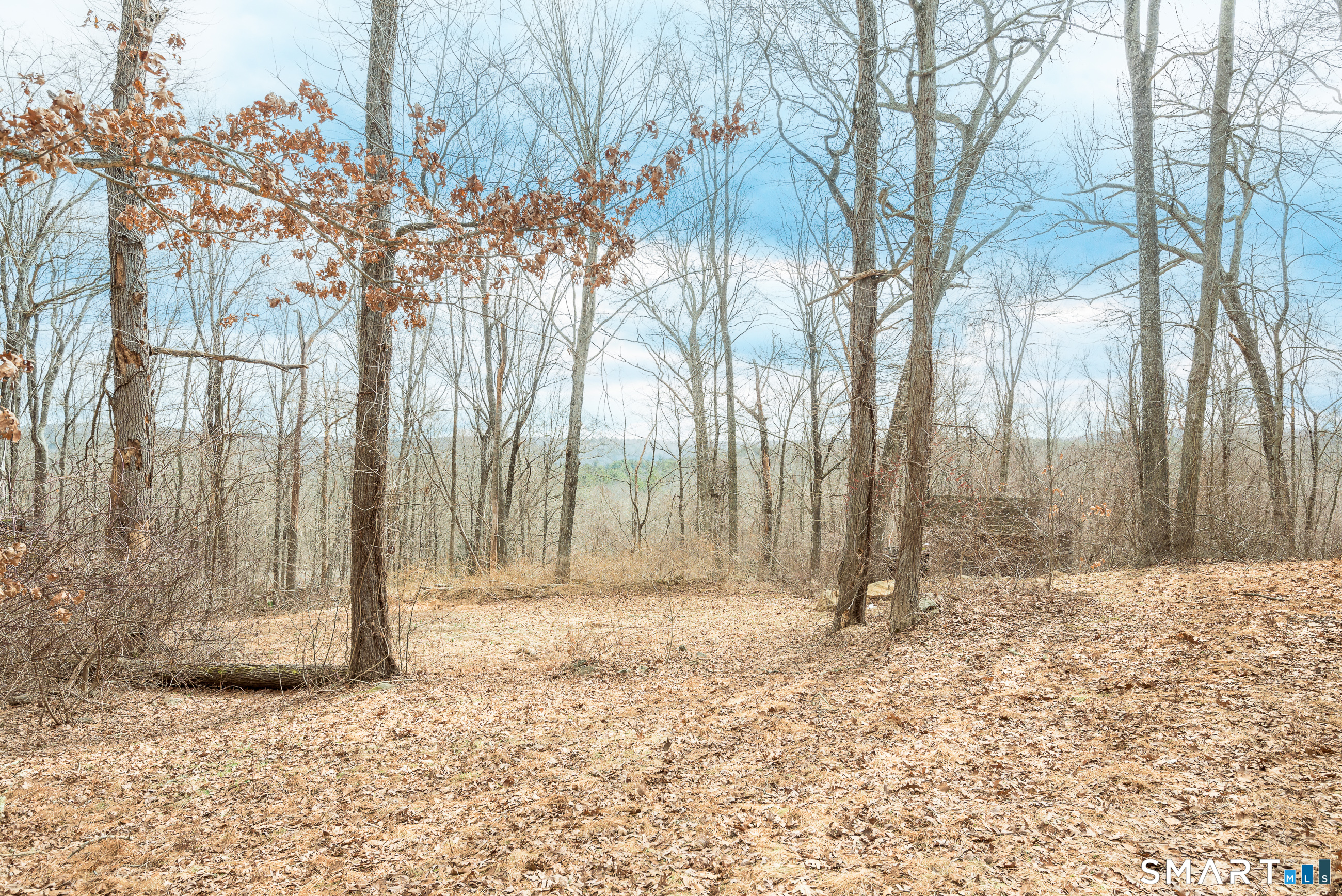 39 Paper Mill Road Hebron CT 06231