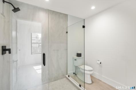 8 Holly Lane Newtown CT 06470