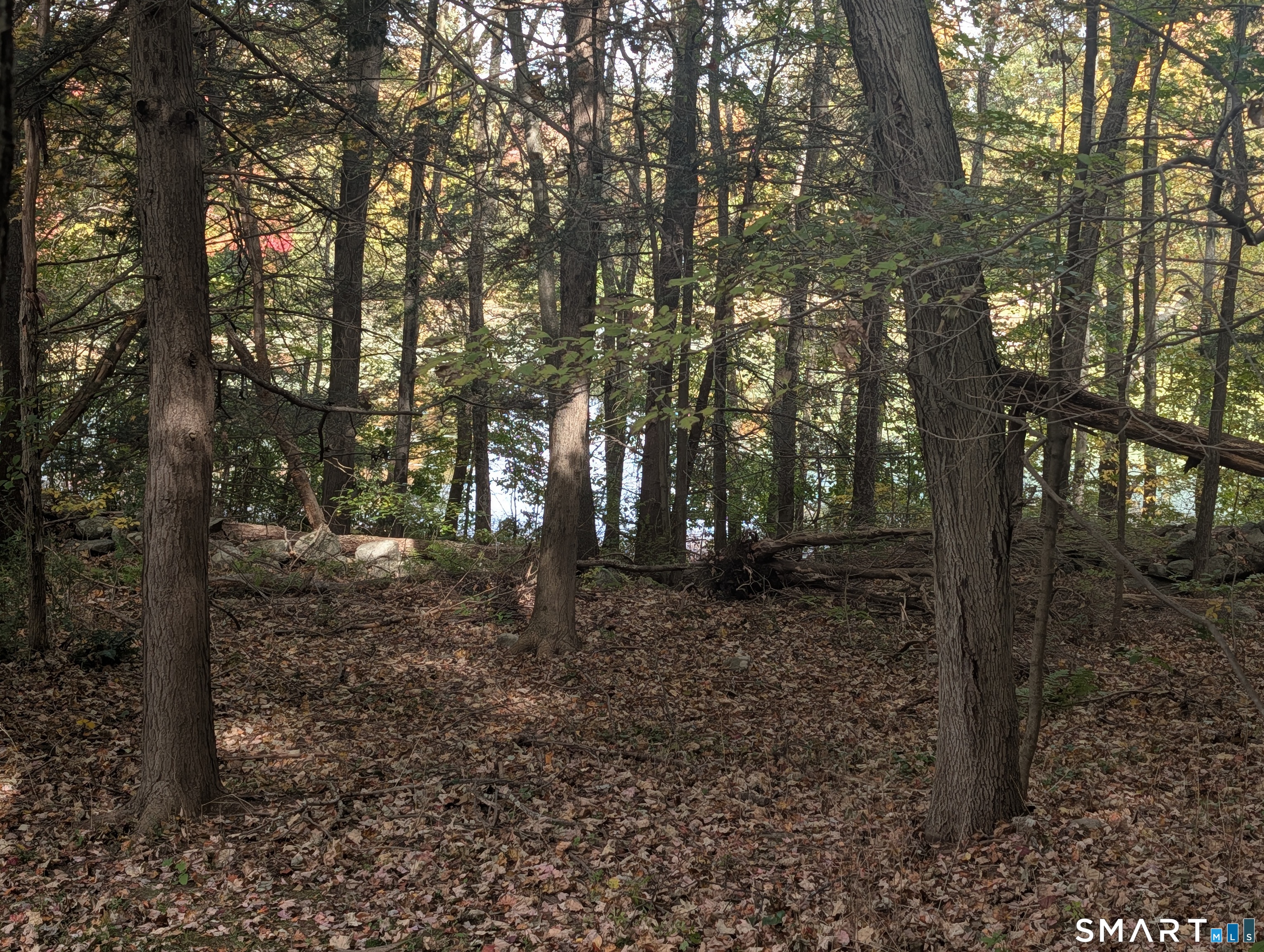 22 Maple Vale Drive Woodbridge CT 06525
