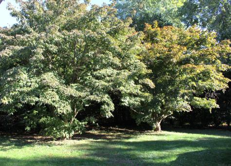 131 Country Lane East Hartford CT 06118