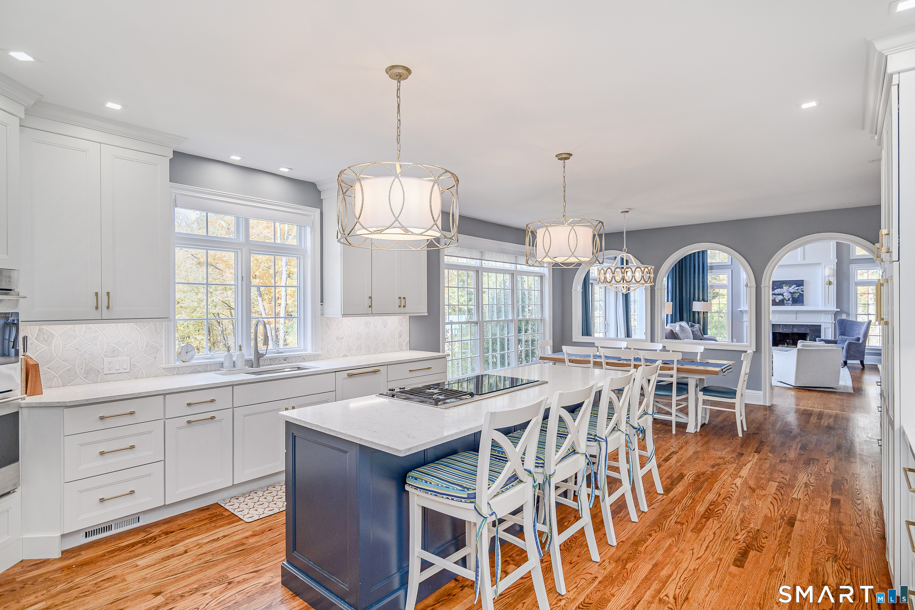 14 Merlins Lane Newtown CT 06470