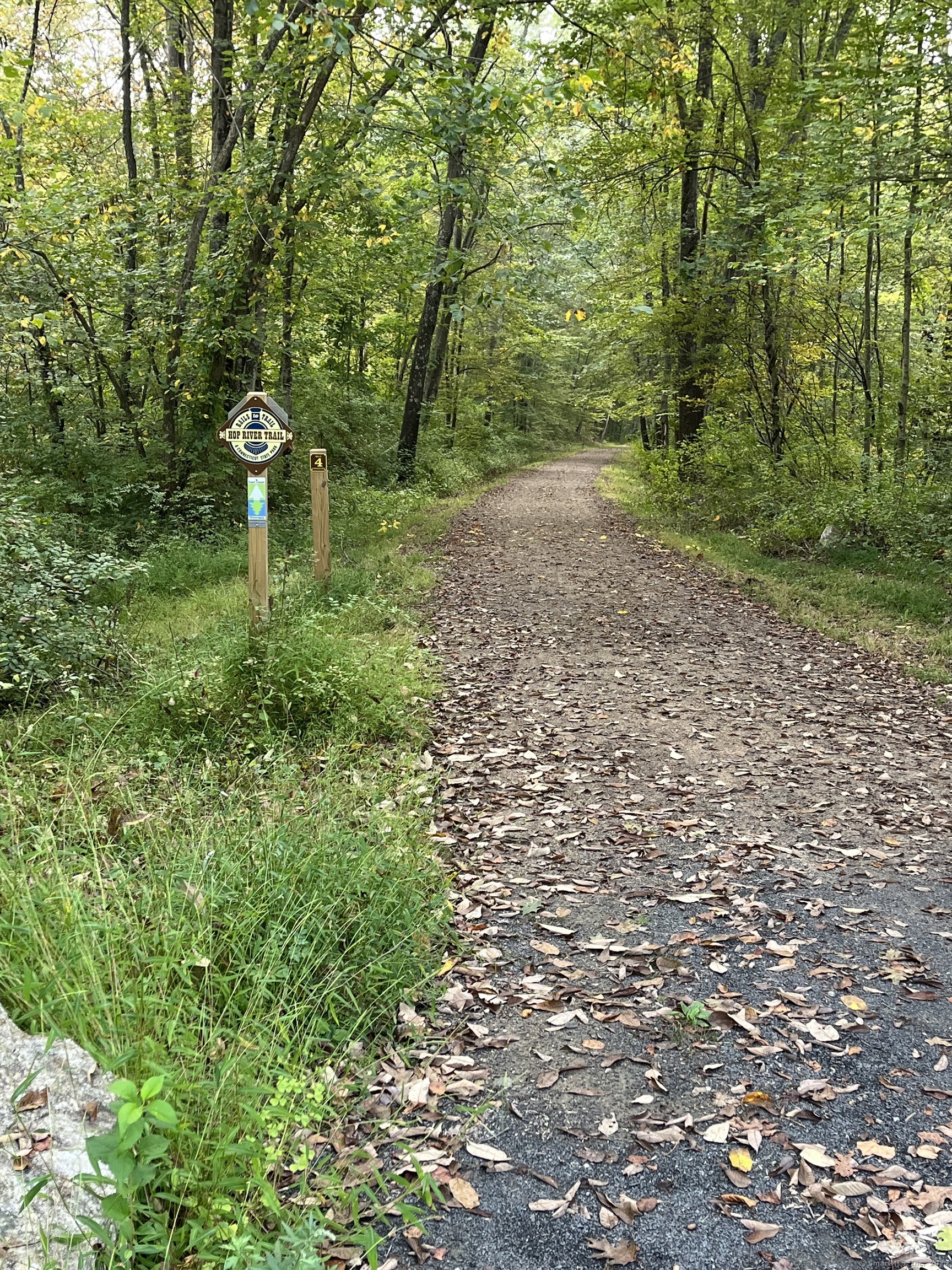 41 Oakwood Lane Columbia CT 06237