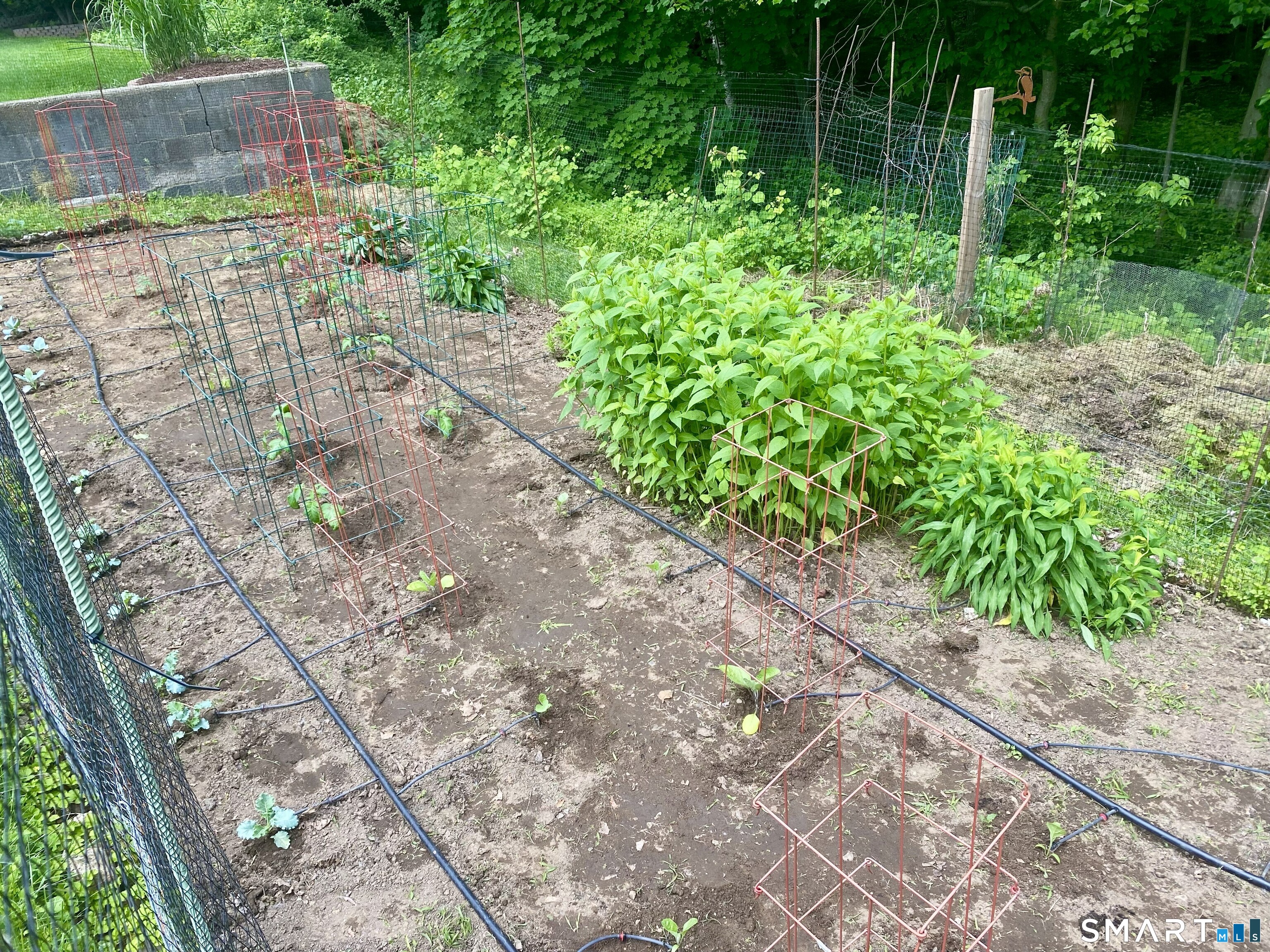 44 Morningside Drive Ansonia CT 06401