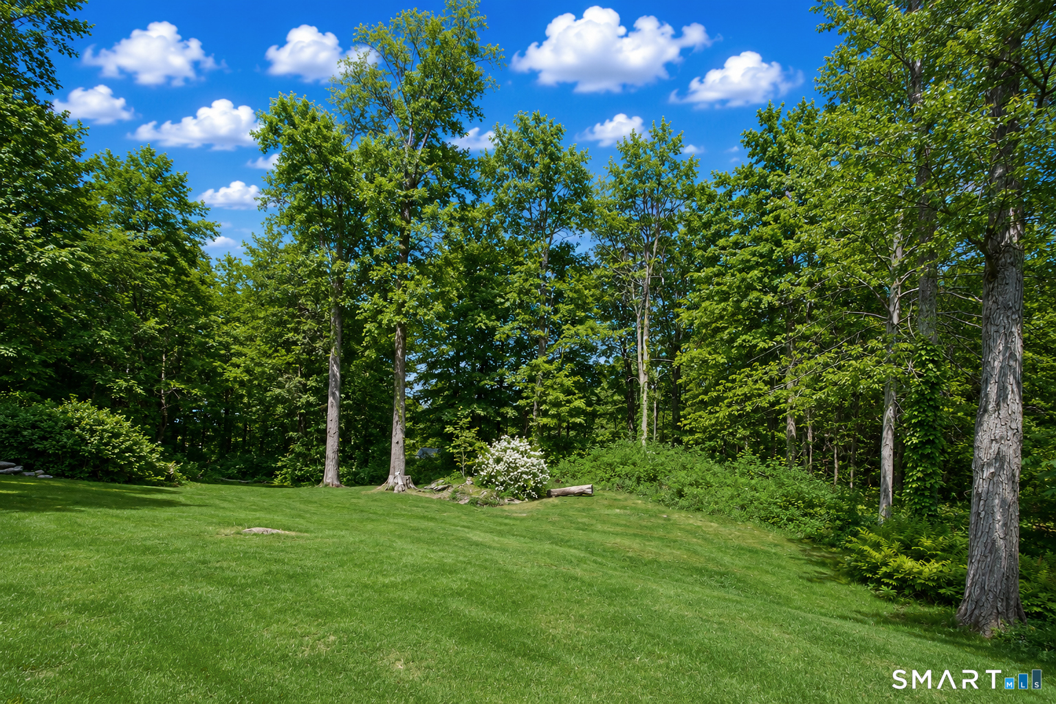 61 Bob Hill Road Ridgefield CT 06877