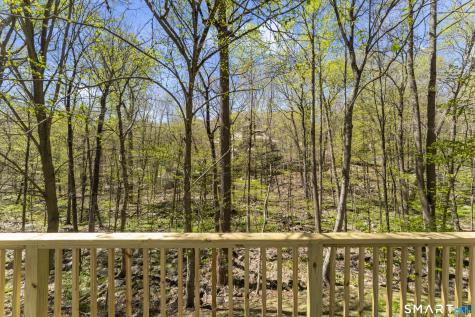 147 Thayer Pond Road Wilton CT 06897