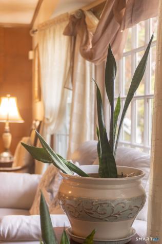 224 Ray Road New Haven CT 06515