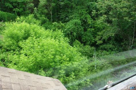 7 River Drive Ledyard CT 06335