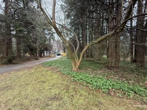 217 Danbury Road Ridgefield CT 06877