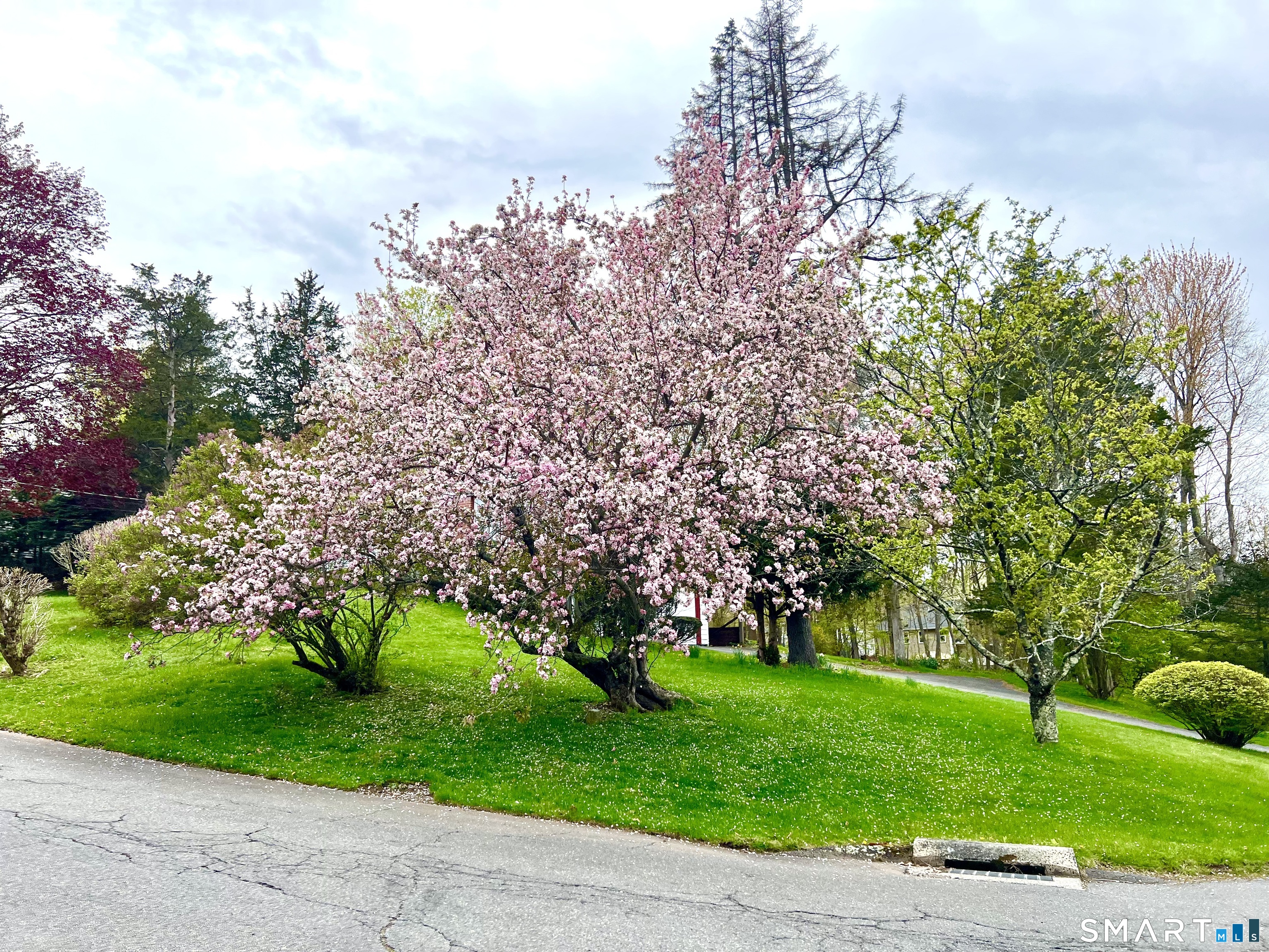 37 Skyline Drive Farmington CT 06032