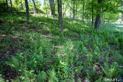 131 Rte 39 Road Sherman CT 06784
