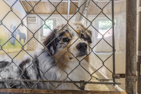 319 Main South Street Bethlehem CT 06751