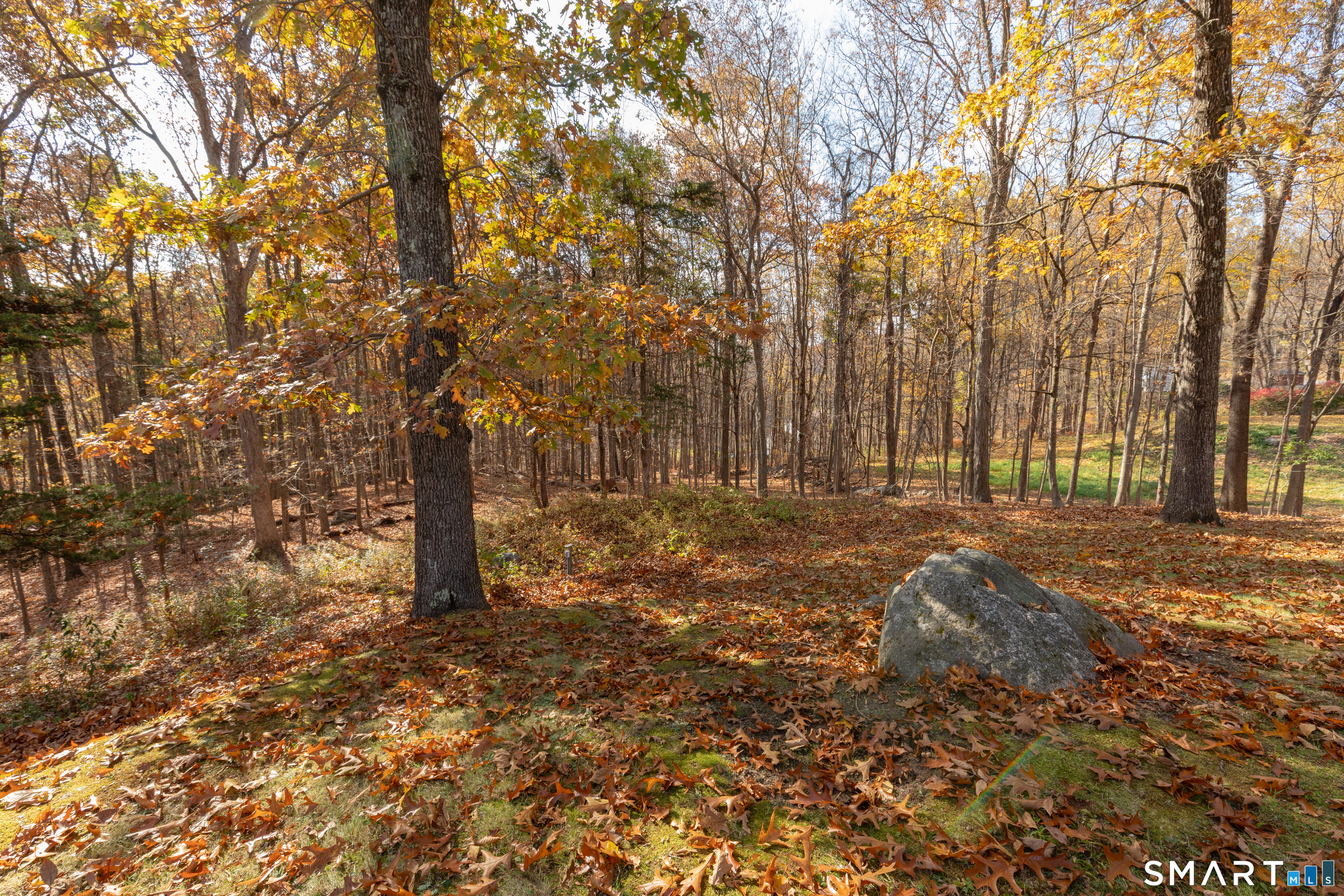 50 Hill Road Naugatuck CT 06770