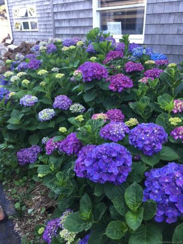 5 Maltby Street Branford CT 06405