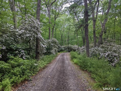 150-1 Mitchell Hill Road Lyme CT 79532